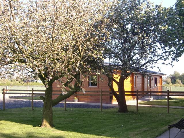 Chestnut Lodge Pilling Exterior foto